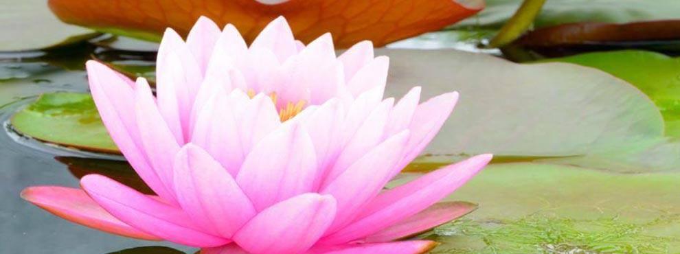 E8C0EA5C-A738-4548-BF5F-1EE1053FB076